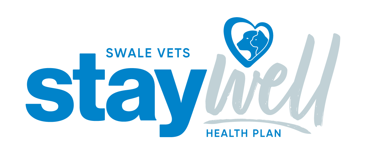 staywell healthcare plan